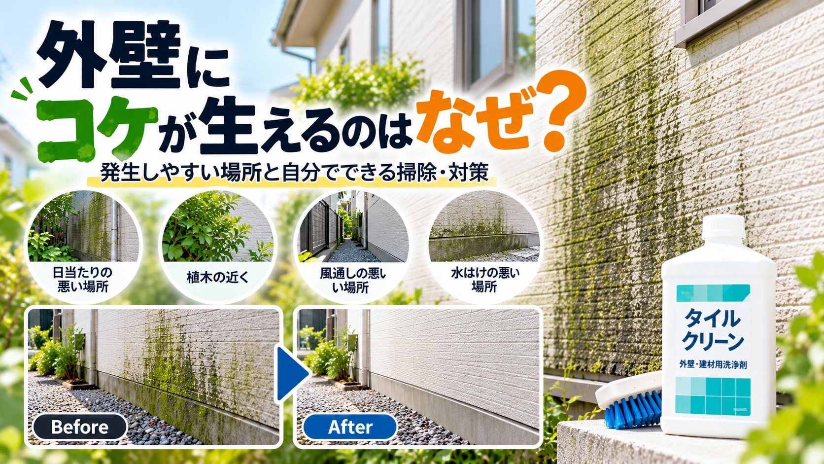 外壁にコケが生える原因と、発生しやすい場所・DIYでできる掃除方法を紹介するアイキャッチ画像。日当たり・植栽・風通し・水はけの違いと、コケ汚れのビフォーアフターを示した画像。