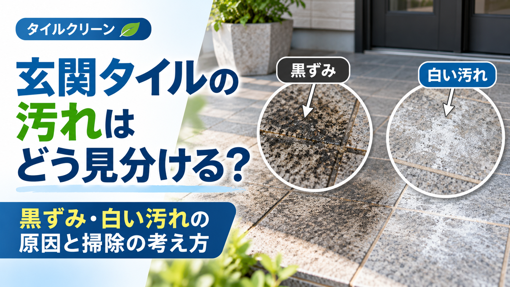 玄関タイルの黒ずみと白い汚れは同じ洗剤で落ちる?原因の見分け方と掃除方法